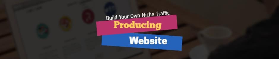 Build Your Own Niche Traffic Producing Website
