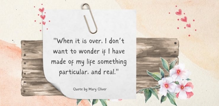 Mary Oliver Aging Gracefully Quotes