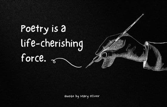Mary Oliver Best Quotes