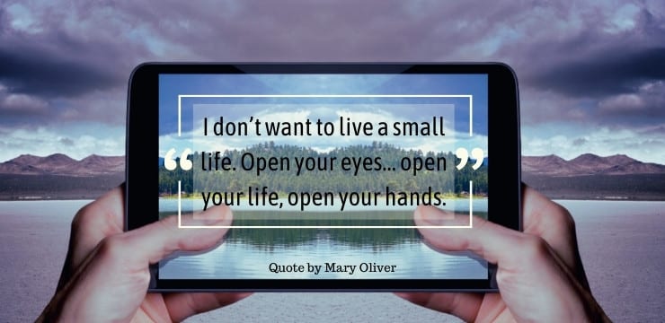 Mary Oliver Inspirational Quotes
