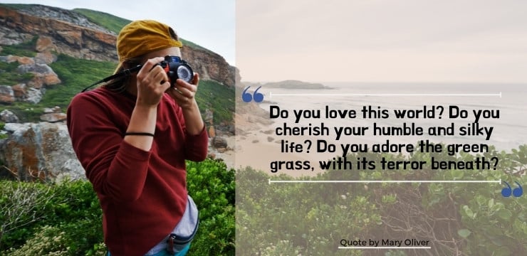 Mary Oliver Nature Quotes